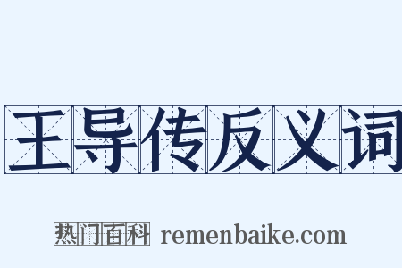 王导传反义词是什么意思的图片